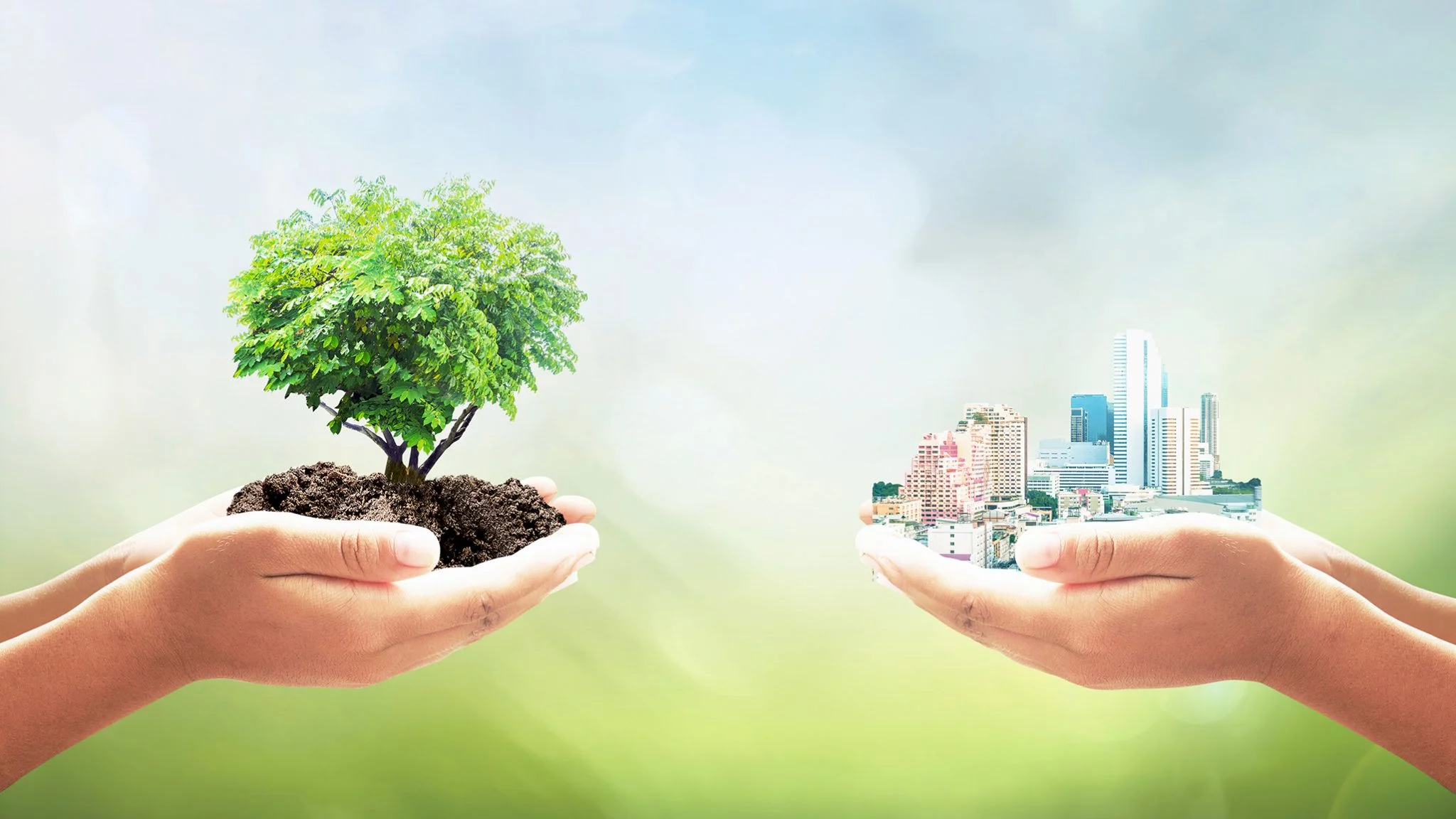 Immagini rappresentative del sviluppo sostenibile nel contesto urbano e naturale.